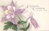Colorado Columbine, Sate Flower